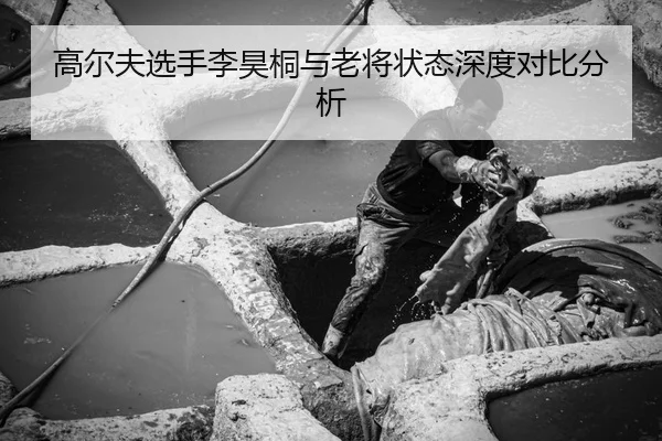高尔夫选手李昊桐与老将状态深度对比分析
